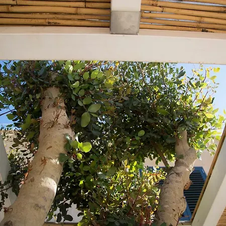 Le Suites Del Carrubo Favignana Exterior photo