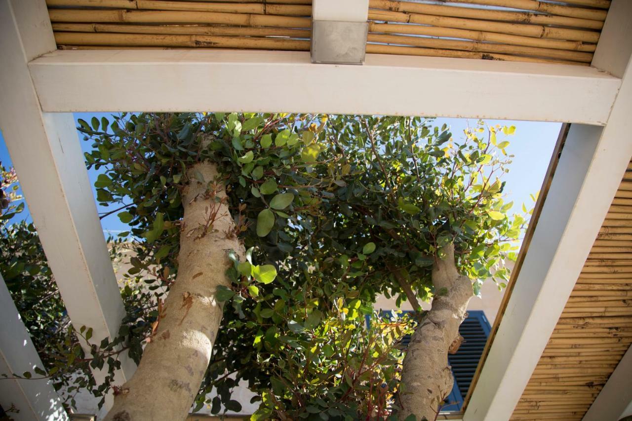 Casa vacanze Le Del Carrubo Favignana
